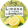 ultra dolce limone sambuco mini